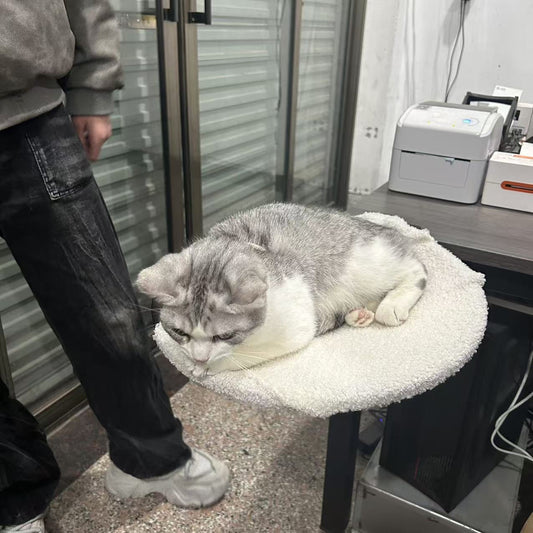 Pet Cat Nest Mobile Portable Disassembly Metal Cat Rack
