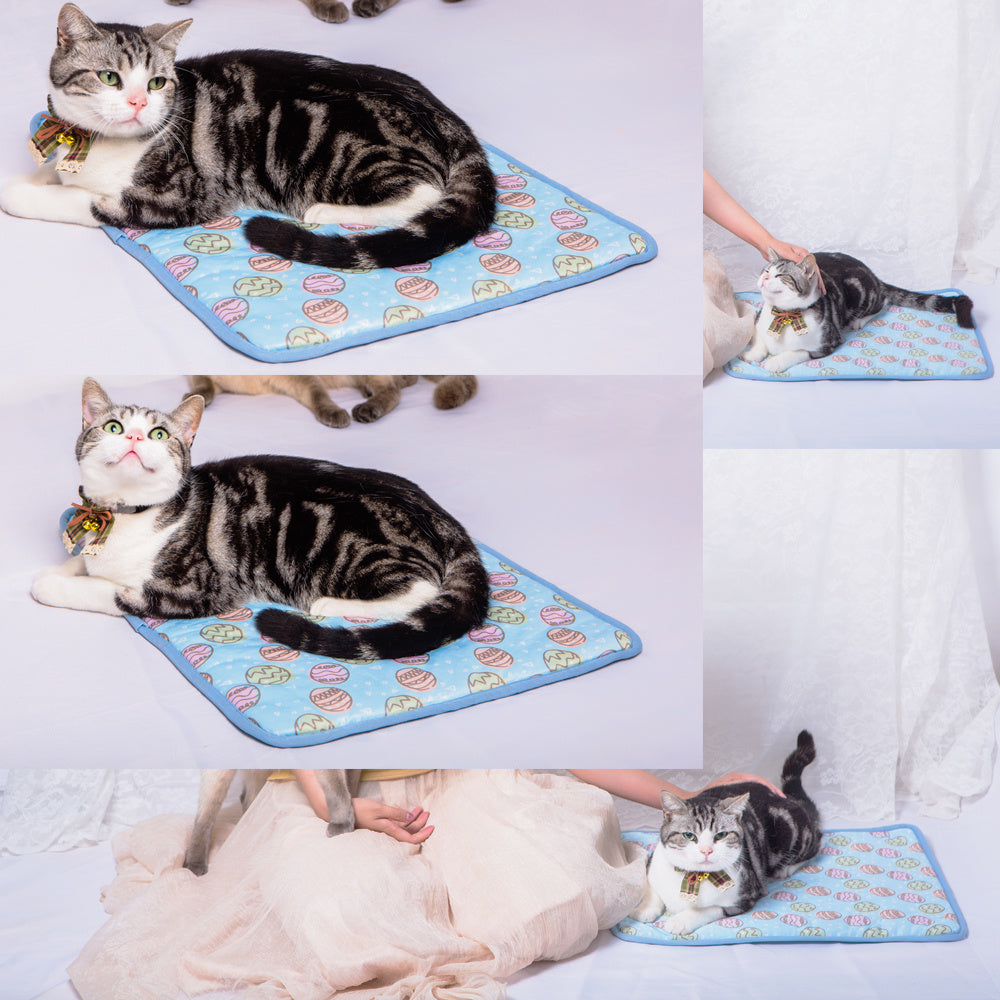 Estate Di Raffreddamento Stuoie Coperta Di Ghiaccio Pet Cane Stuoie Letto