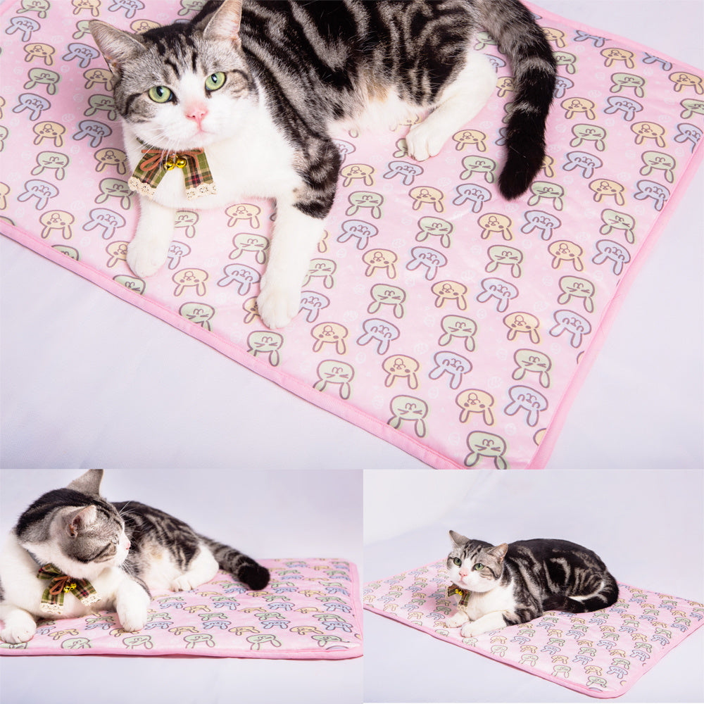 Estate Di Raffreddamento Stuoie Coperta Di Ghiaccio Pet Cane Stuoie Letto