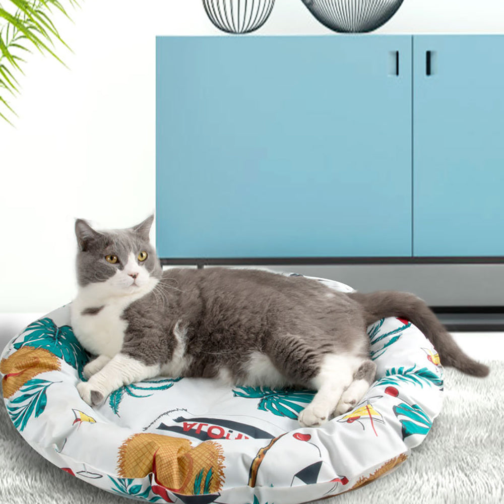 Non-stick hair pet sleeping mat