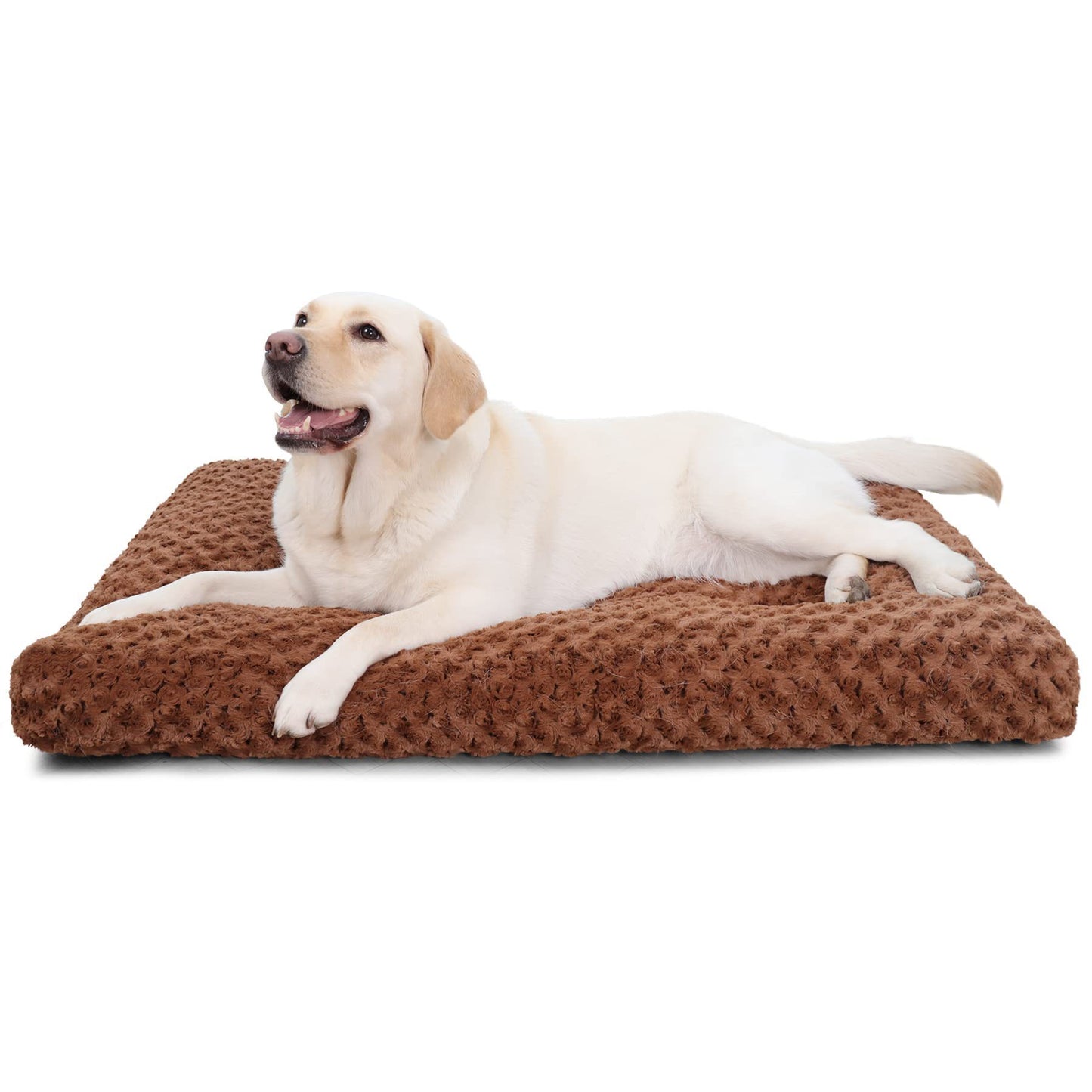Embossed Velvet Dog Mat Bite-resistant Scratch Pet Mattress Four Seasons Universal Anti-slip Soft