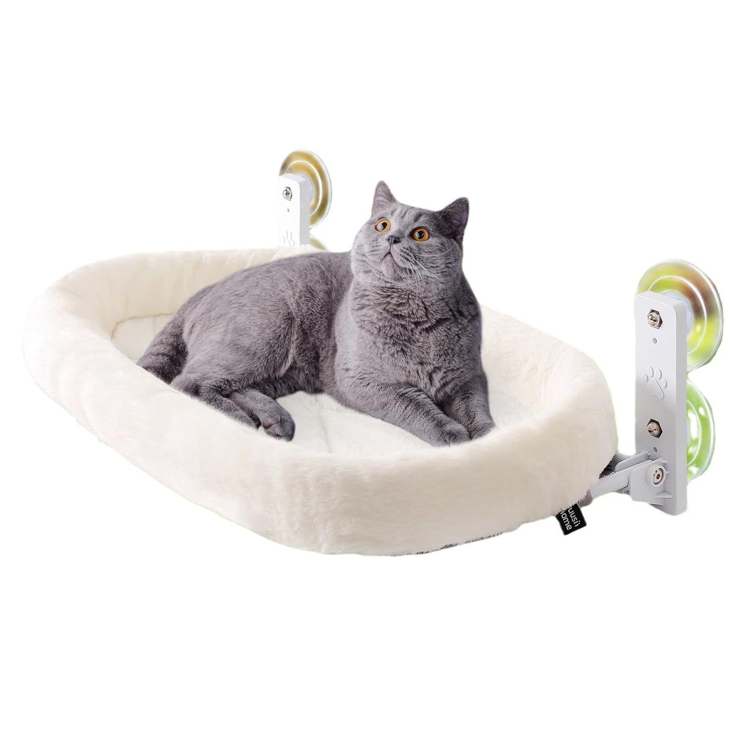 Household Sun Glass Hanging Sucker Cat Nest