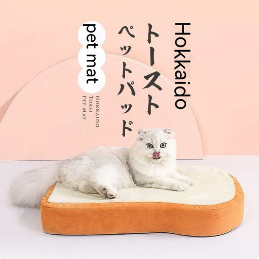 Hokkaido's Tomer's Animal Cat Sleep