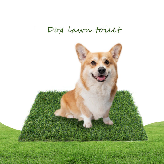Pet Lawn Mat Dog Floor Mat Fixed Point Nest Washable Wholesale New Product