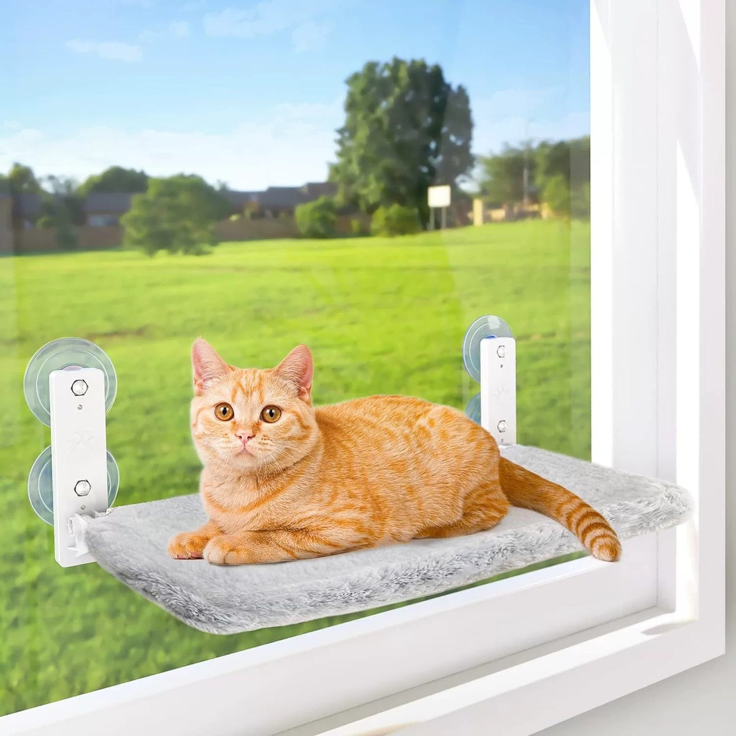 Household Sun Glass Hanging Sucker Cat Nest