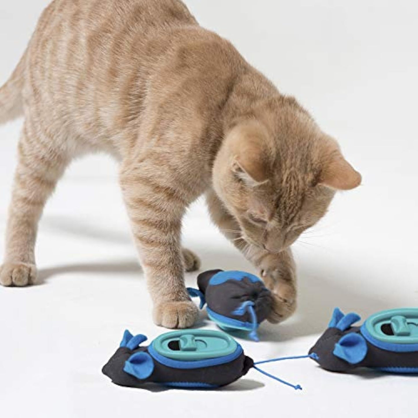 Nteractive Indoor Treat Dispenser Encourage Natural Instincts To Hunt Provide Mental Stimulation Solve Behavioral Problems  Obesity Pack Of 1 Mouse