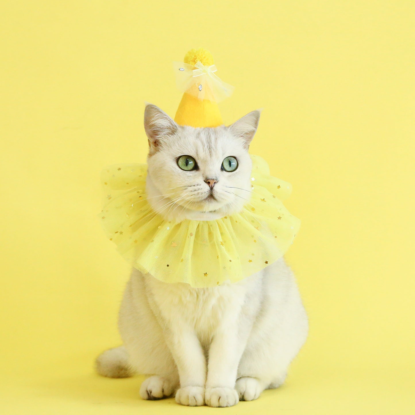 Pet Sequin Lace Bib Rhinestone Gauze Skirt Felt Hat