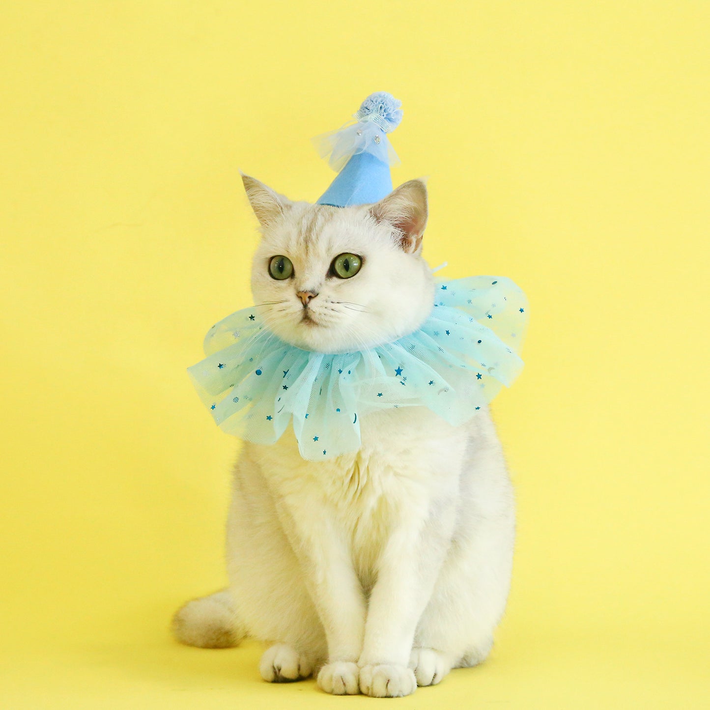 Pet Sequin Lace Bib Rhinestone Gauze Skirt Felt Hat