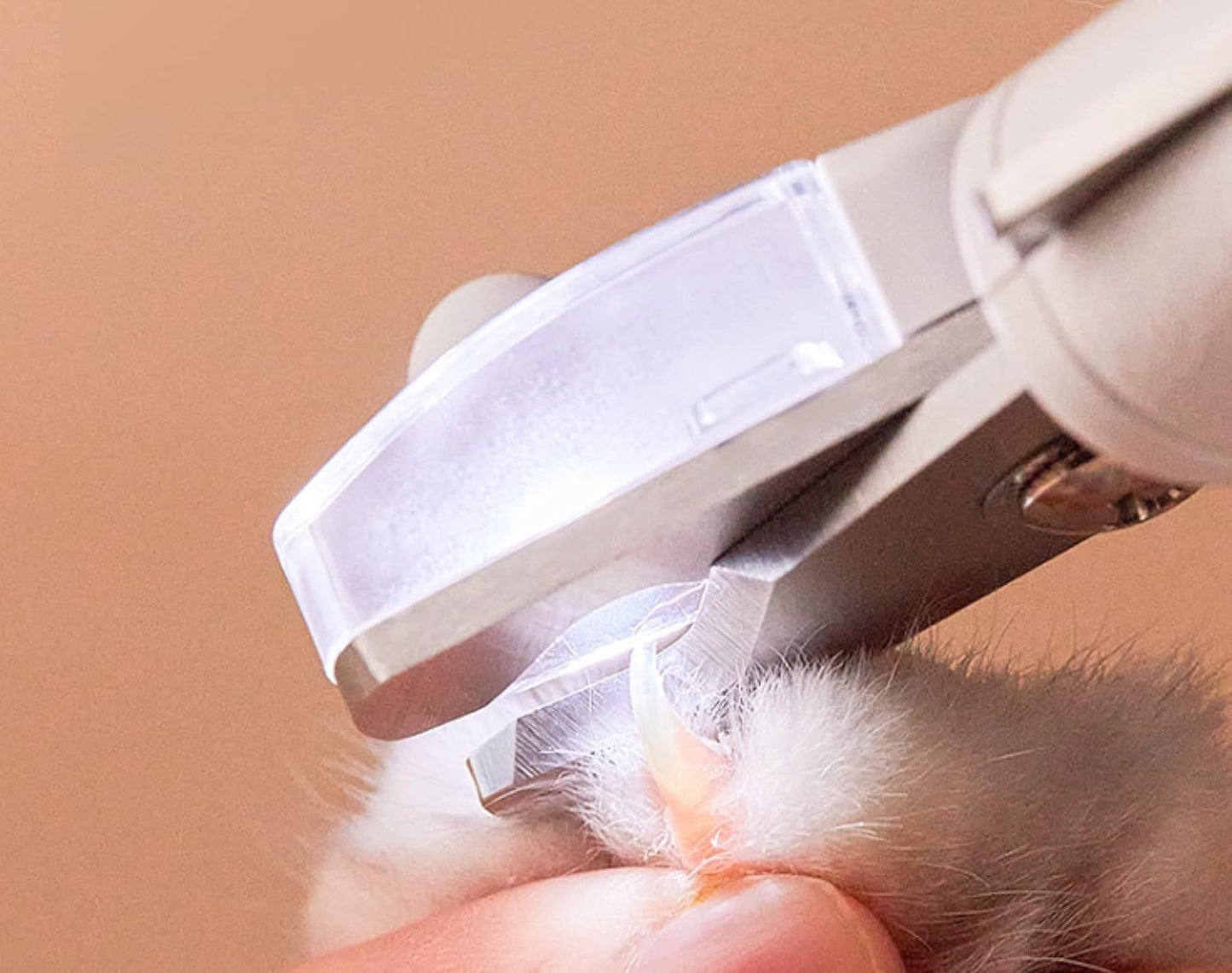 Pet Products Cat Nail Scissors Dog Nail Clippers Cat Nail Scissors With LED Nail Clipper