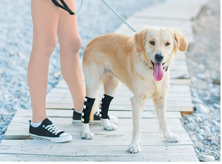 Surgical Injury Glow-in-the-dark Dog Knee Brace