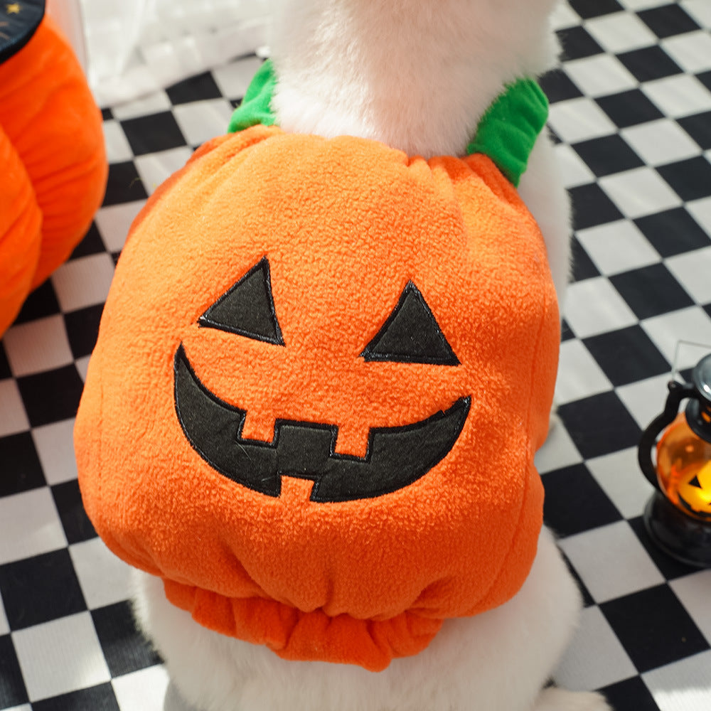 Pet Hat Halloween Funny Pumpkin Hat