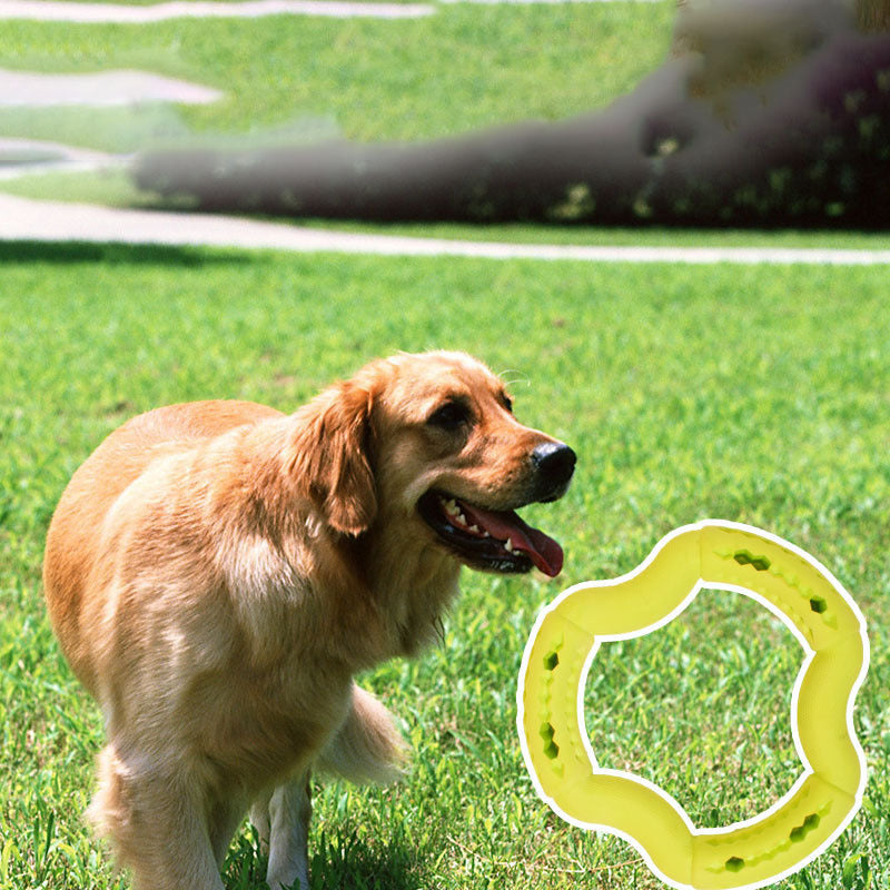 Shaped Dog Chew Toy Durable Cartoon Design Clean Small Dog Teeth