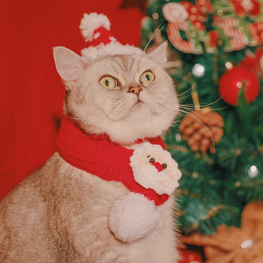 Pet Christmas Hat Hand Woven