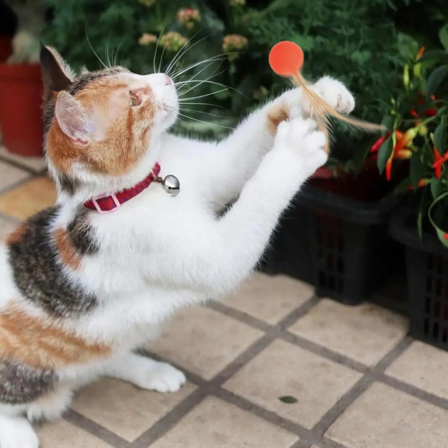 Cat And Dog Toy Bouncy Ball Jumping Ball Interactive Funny Cat  Colorful High Elastic Pet Toy