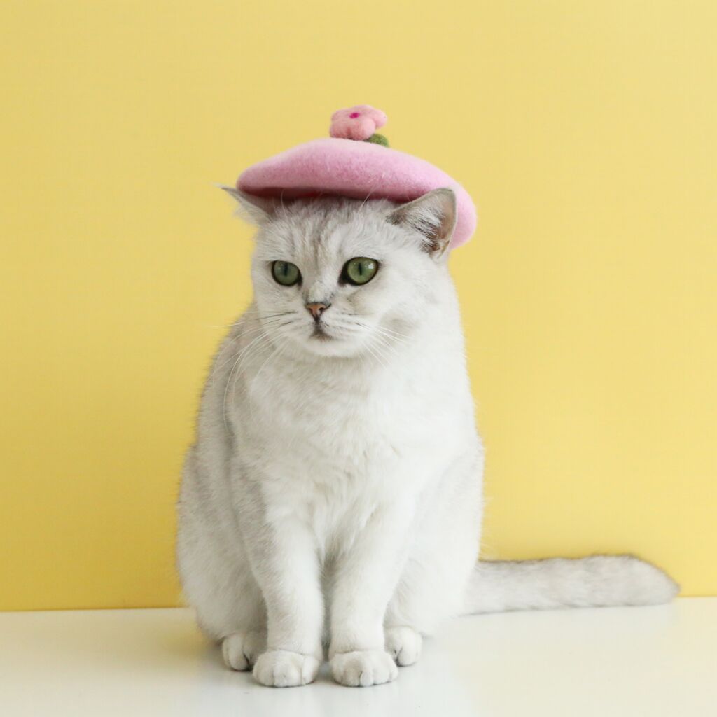 Pet Cat Dog Wool Felt Flower Hat
