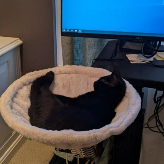 Cat Hammock Adjustable Ergonomic Kitten Bed